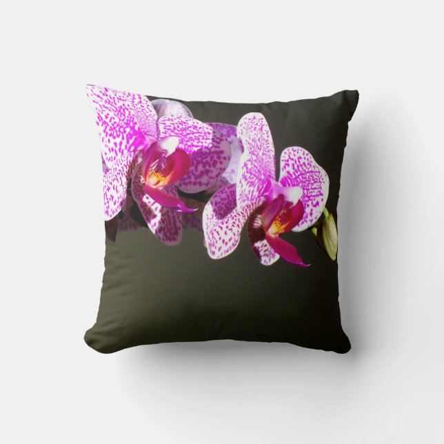 Elegant pink tropical floral flowers orchids  cushion (Front)