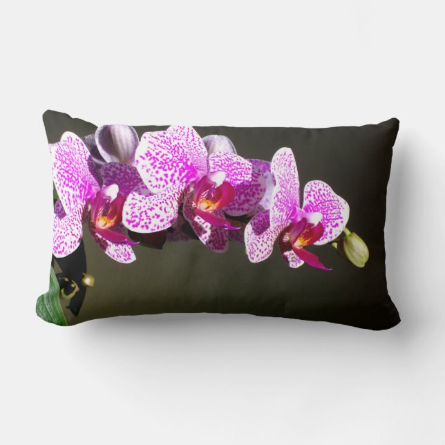 Elegant pink tropical floral flowers orchids  lumbar cushion (Front)