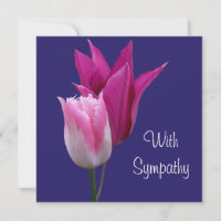 Elegant pink tulip flowers fine art lilac sympathy