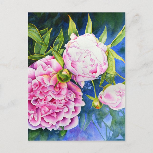 Elegant pink white classic watercolor floral postcard (Front)