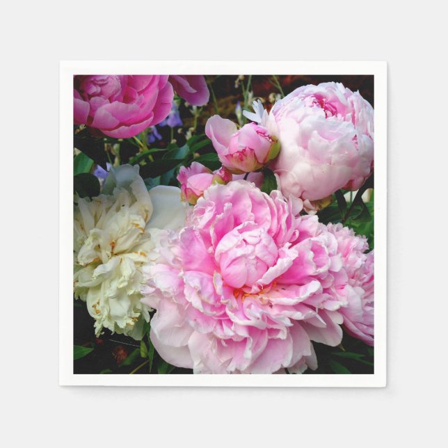 Elegant pink white peony floral garden photo napkin (Front)