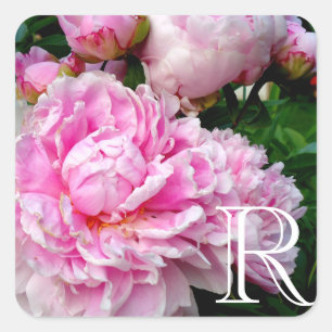Elegant pink white peony floral garden photo square sticker