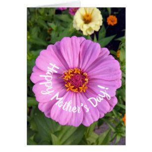 Elegant Pink Zinnia Flower Mother's Day Card