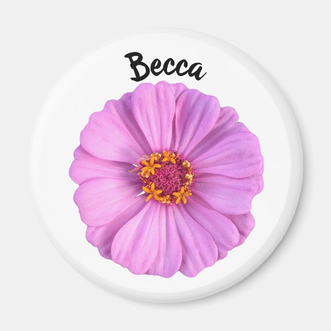 Elegant Pink Zinnia Flower Personalised Magnet (Front)