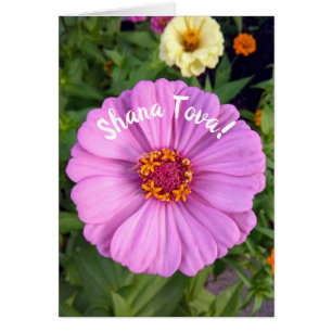 Elegant Pink Zinnia Flower Rosh Hashanah Card