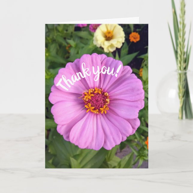 Elegant Pink Zinnia Flower Thank You Card (Front)
