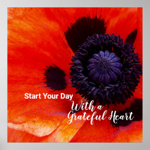 Elegant Poppy Flower Quote Grateful Heart  Poster