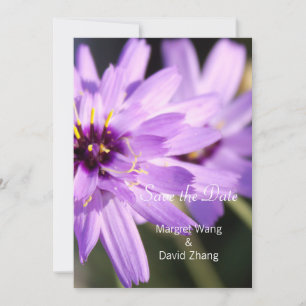 Elegant, pretty purple daisy flower save the date