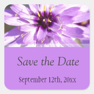 Elegant, pretty purple daisy flower  save the date square sticker