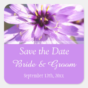 Elegant, pretty purple daisy flower save the date square sticker