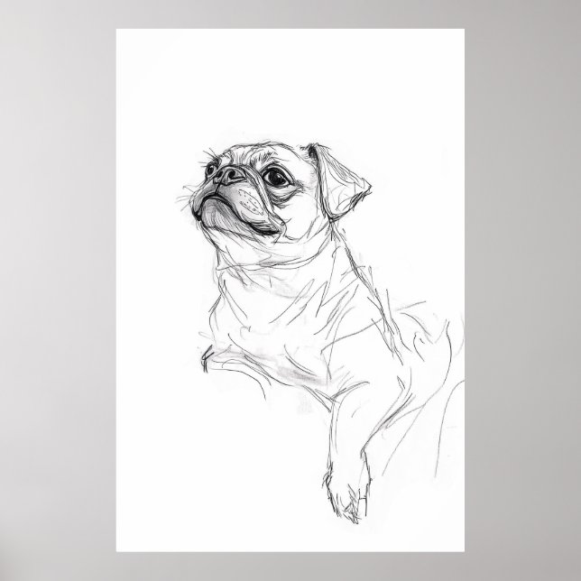 Elegant Pug Portrait Sketch - Premium Poster (Front)