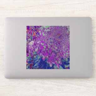 Elegant Purple and Blue Limelight Hydrangea