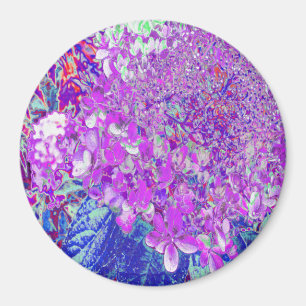 Elegant Purple and Blue Limelight Hydrangea Magnet