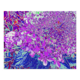 Elegant Purple and Blue Limelight Hydrangea Poster