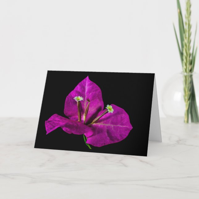 Elegant Purple Bougainvillea Card (Front)
