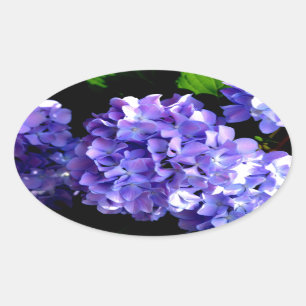 Elegant purple floral purple blue hydrangeas oval sticker