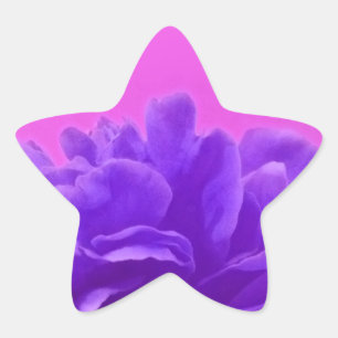 Elegant Purple Raspberry Floral Star Sticker