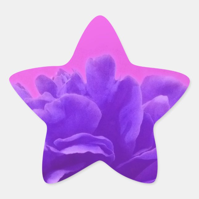 Elegant Purple Raspberry Floral Star Sticker (Front)
