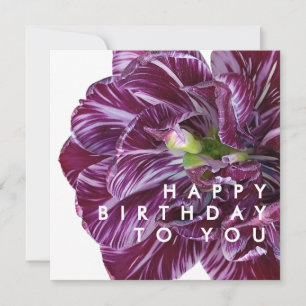 Elegant Purple Tulip Floral Happy Birthday  Card