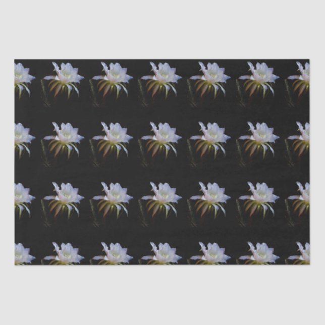 Elegant Queen of the Night Cactus Flower Tissue Paper (Front)