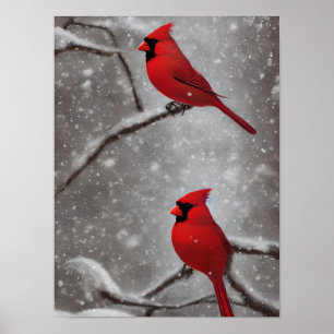 Elegant Red Cardinal Birds Art Poster
