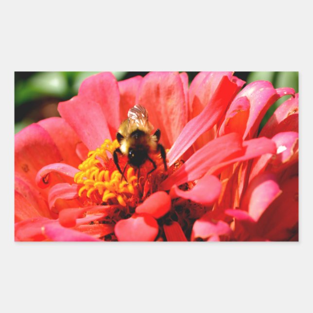 Elegant red coral floral cute bumble bee rectangular sticker (Front)