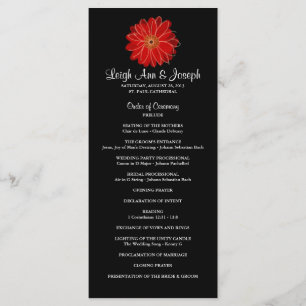Elegant Red Gerber Daisy Wedding Program--RackCard Program