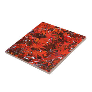 Elegant Red Japanese Maple Leaves Ceramic Tile