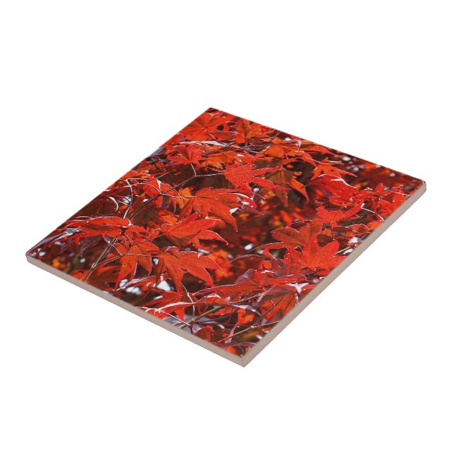 Elegant Red Japanese Maple Leaves Ceramic Tile (Side)
