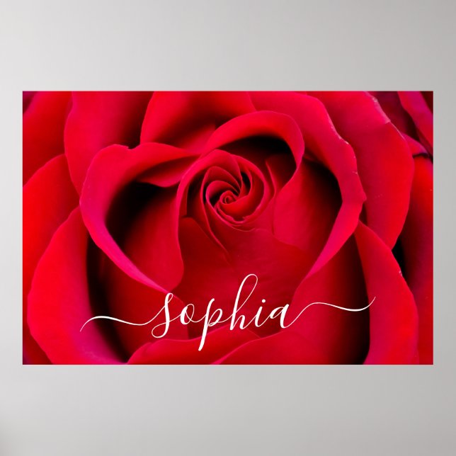 Elegant Red Rose Flower Photo Add Name Poster (Front)