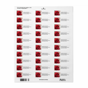 Elegant Red Rose Label Return Address Label