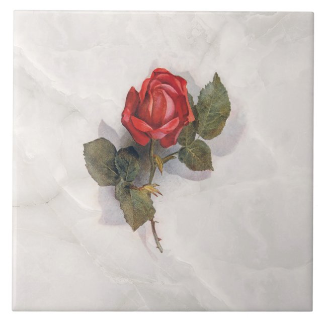 Elegant Red Rose on Grey Marble BG Ceramic Tile (Front)