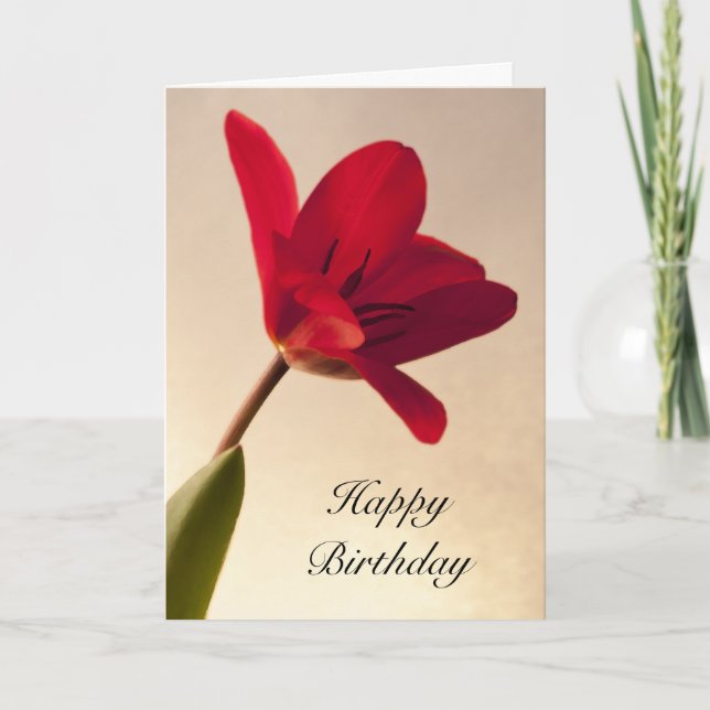 Elegant Red Tulip Birthday  Card (Front)