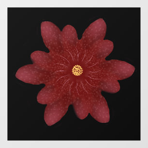 Elegant Red Velvet Flower on Black   Dark Floral A