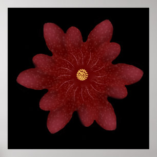 Elegant Red Velvet Flower on Black   Dark Floral A Poster