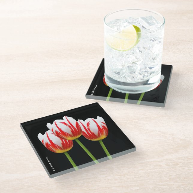 Elegant Red White Maple Leaf Tulips Glass Coaster (Angled)