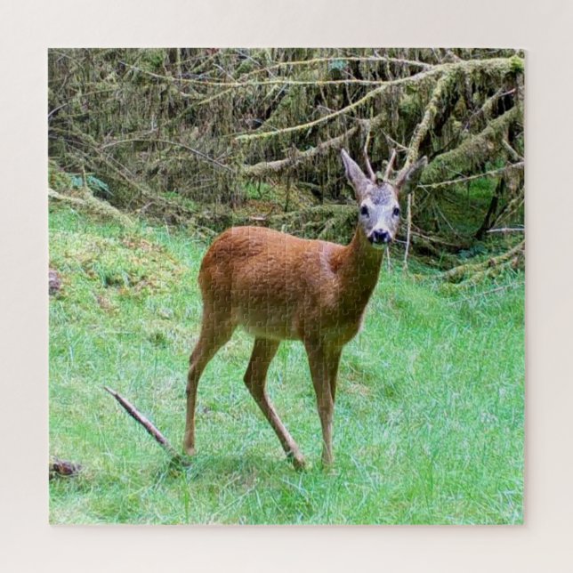 Elegant Roe Deer Buck Forest Scene Relax Nature  Jigsaw Puzzle (Vertical)
