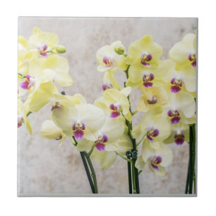 Elegant Romantic Cream & Lilac Orchids Ceramic Tile