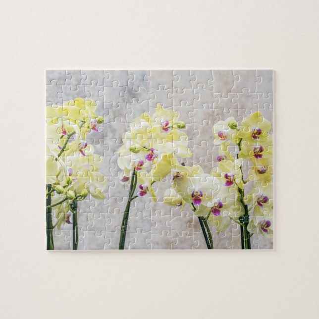 Elegant Romantic Cream & Lilac Orchids Jigsaw Puzzle (Horizontal)