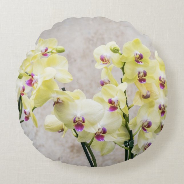 Elegant Romantic Cream & Lilac Orchids Round Cushion (Front)