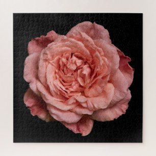 Elegant Rose Collection on Black Jigsaw Puzzle