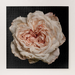 Elegant Rose Collection on Black Jigsaw Puzzle