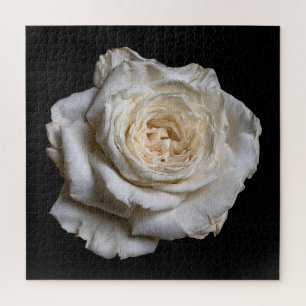 Elegant Rose Collection on Black Jigsaw Puzzle