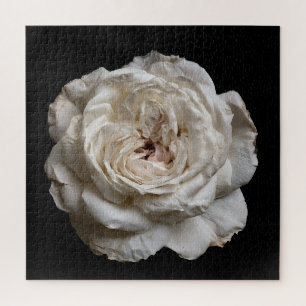 Elegant Rose Collection on Black Jigsaw Puzzle