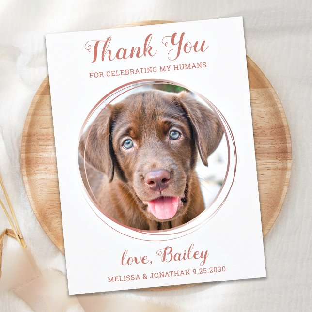 Elegant Rose Gold Pet Dog Wedding Thank You Postcard (Creator Uploaded)