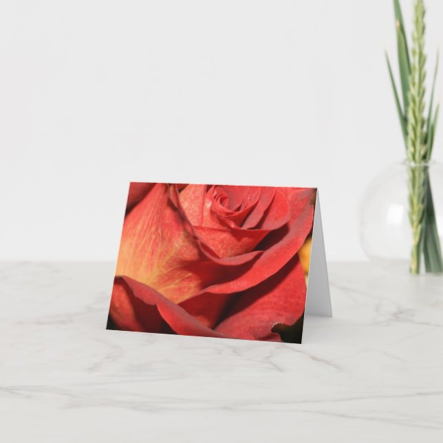 Elegant rose note cards (Front)