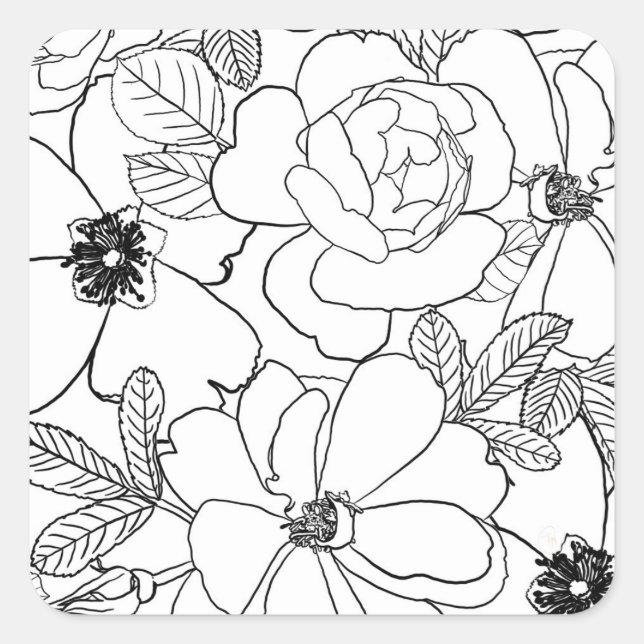 Elegant Roses Floral Line Drawing design Square Sticker (Front)