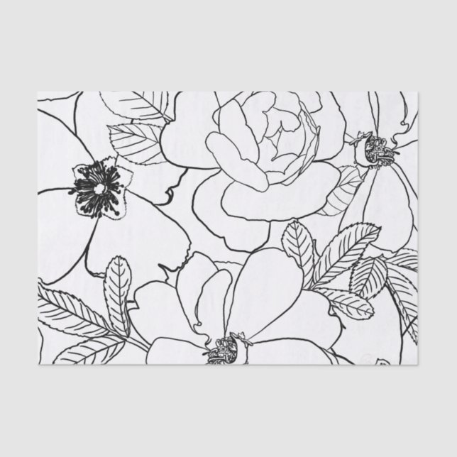 Elegant Roses Floral Line Drawing design Tissue Paper (Front)