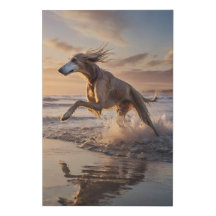 Elegant Saluki Canvas – Seaside Sprint
