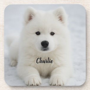 Elegant Samoyed Personalised Beverage Coaster Set